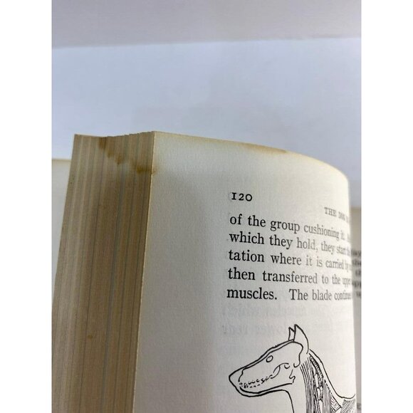 The Dog in Action For All Breeds McDowell Lyon 1950 HC Book VGC - Picture 10 of 12